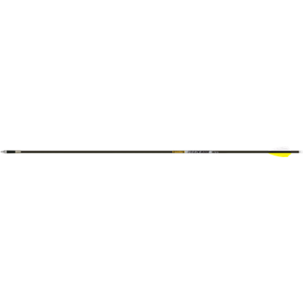 GOLDTIP Schaft Carbon, Goldspitze Pierce, Platin, ID 4,2 12/PK