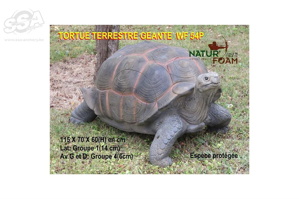 NATUR FOAM 3D-Ziel Riesenschildkröte