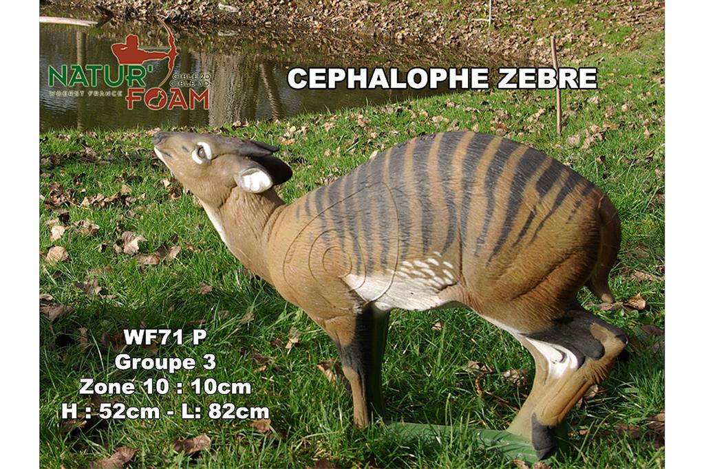 NATUR FOAM 3D-Ziel Cephalophus Zebra