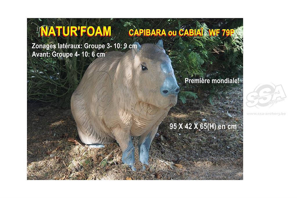 NATUR FOAM 3D-Ziel Capybara Cabiai