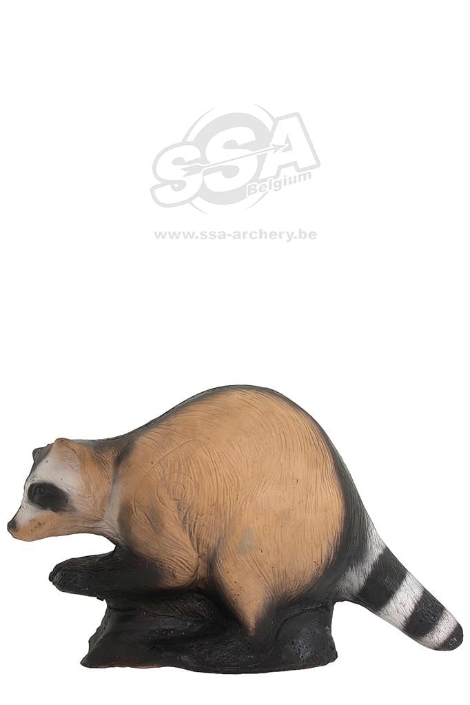 WILD LIFE 3D-ZIEL WASCHBÄR / PROCIONE - DIM:42x58x30CM GROUP 4