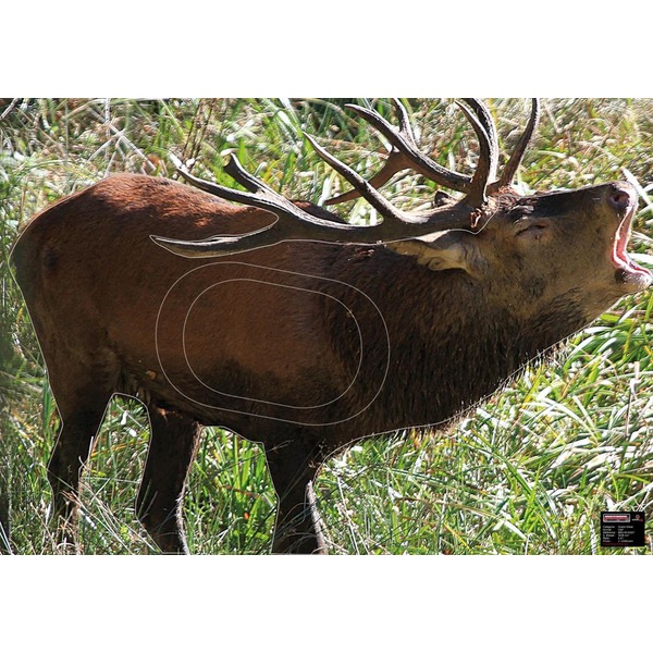 MAXIMAL ZIELSCHEIBEN BIG GAME 70x100 HEULENDES RIND