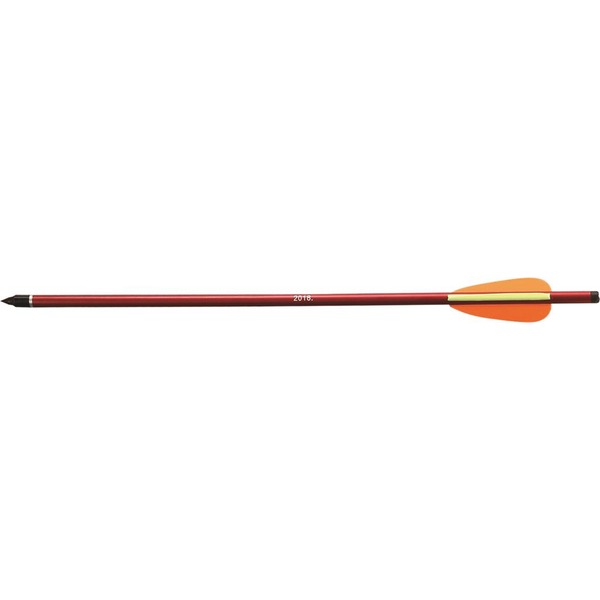 EKPOELANG ARMBRUST ALUMINIUM BOLZEN 2018 16" LANG MIT SPITZE 100/PK