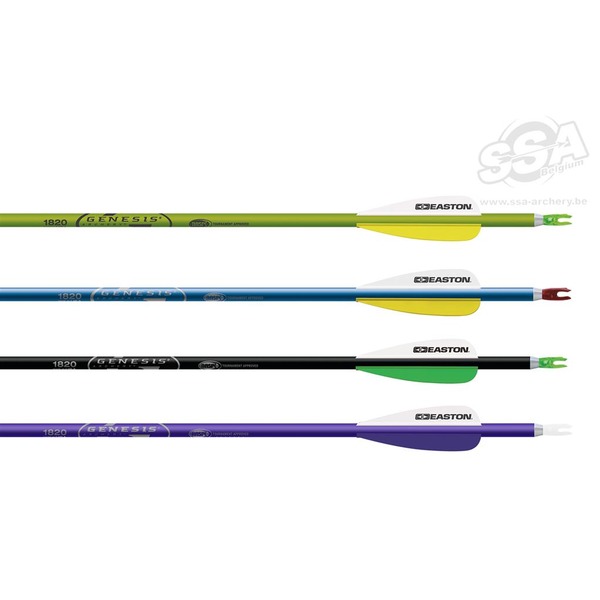 EASTON PFEIL GENESIS NASP 3"FEDERN 1820 MIT SPITZE
