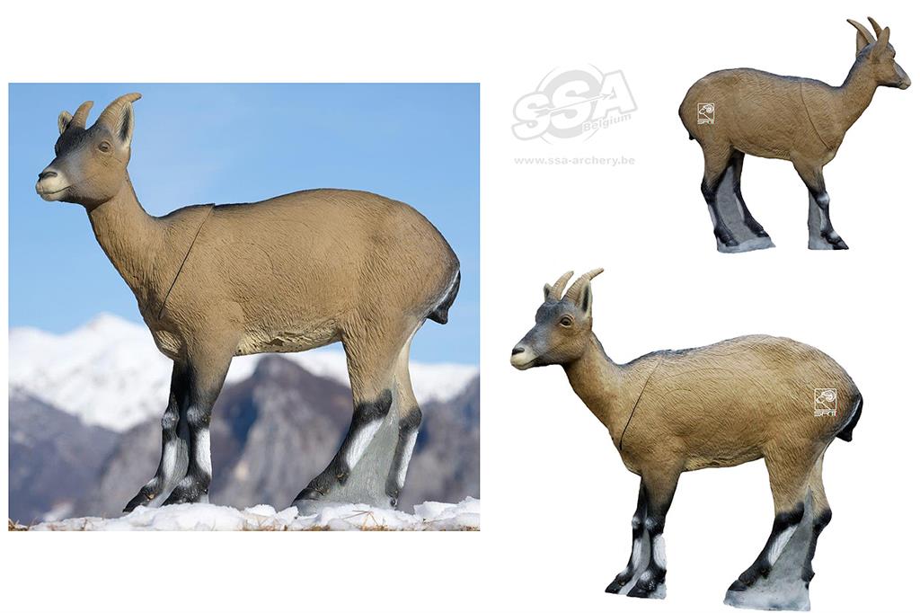 SRT 3D-ZIEL WILDZIEGE (weiblich) - GRUPPE 2 - L100cm H94cm