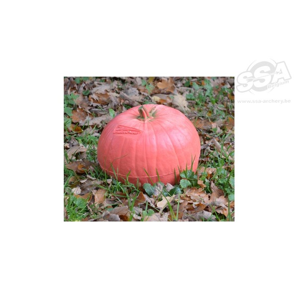 BEIER 3D-ZIEL PUMPKIN : L23 x W23 x H19cm