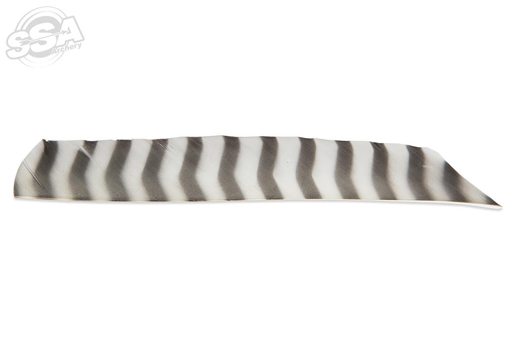 BUCKTRAIL FEDERN VOLLE LAENGE RW BARRED 100/PK