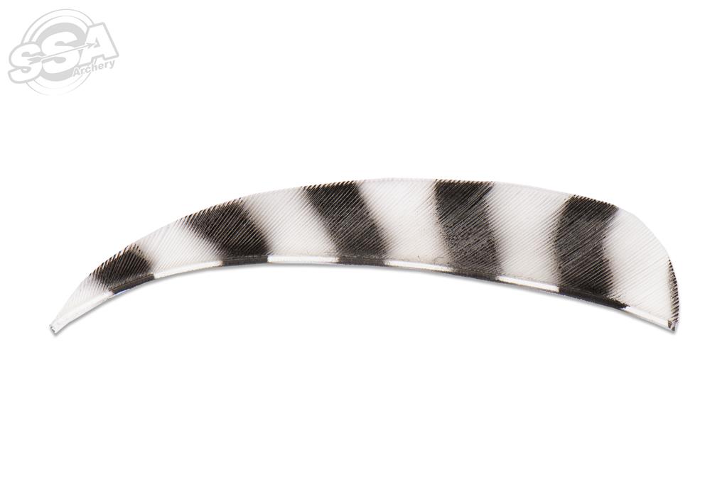 BUCKTRAIL FEDERN ROUND 4" RW BARRED 100/PK