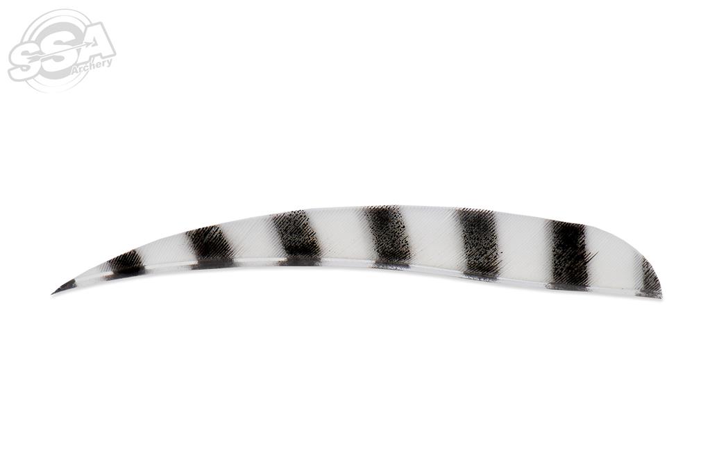 BUCKTRAIL FEDERN ROUND 5" RW BARRED 100/PK