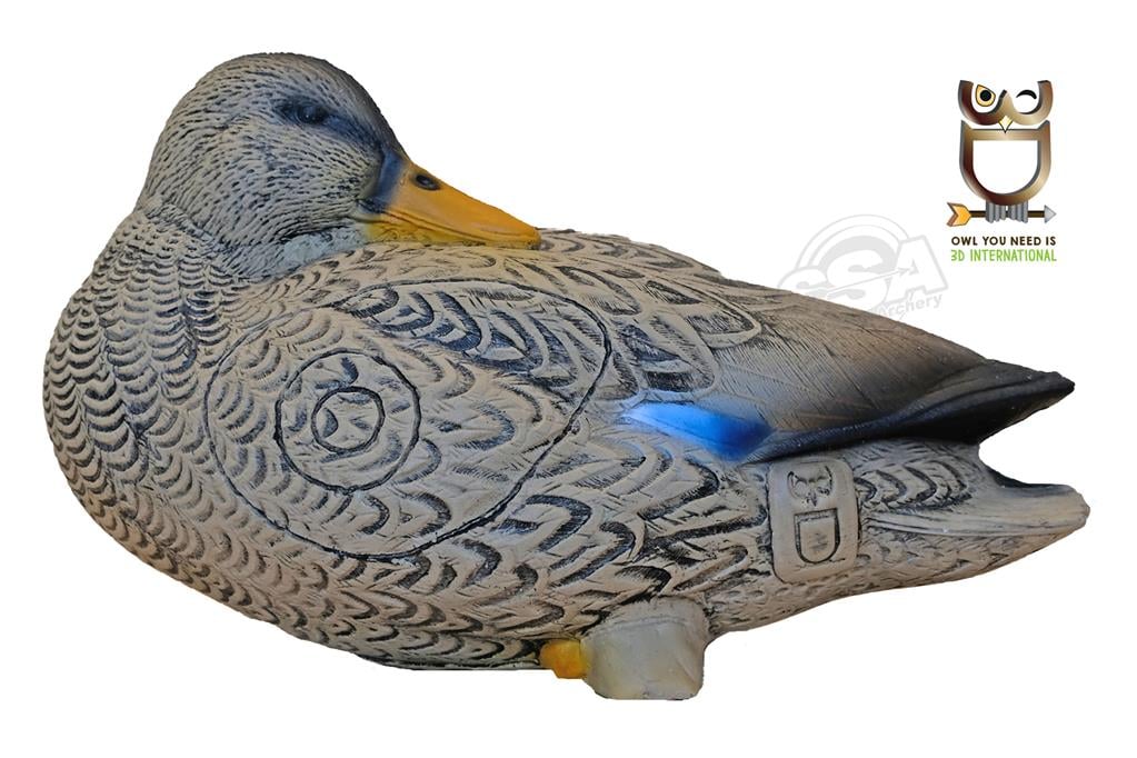 3D INTERNATIONAL 3D-ZIEL ENTE