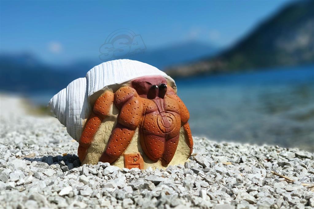 3D INTERNATIONAL 3D HERMIT CRAB
