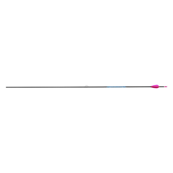 AVALON Pfeil Carbon CLASSIC 4.2 12/PK