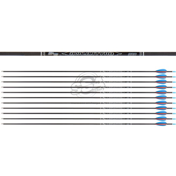 AVALON Pfeil Carbon TYRO 4.2