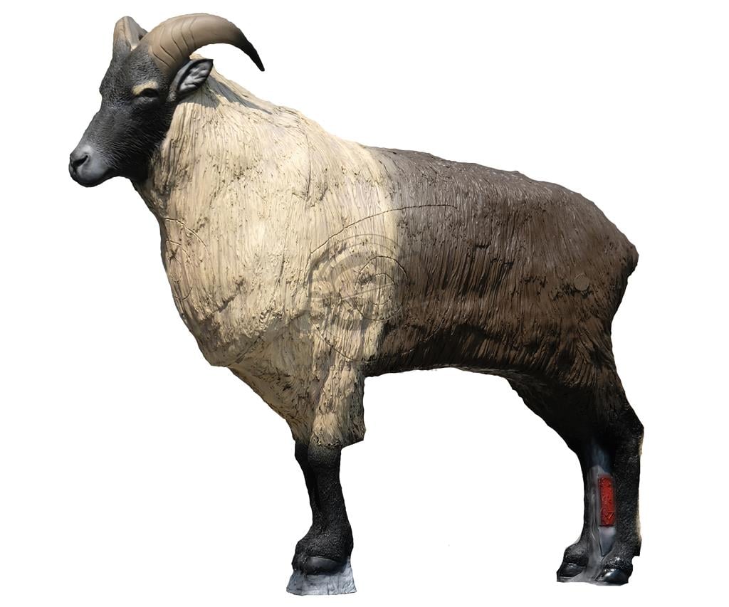 SRT 3D-ZIEL HIMALAYAN TAHR - GROUP 1 - L133cm H113cm