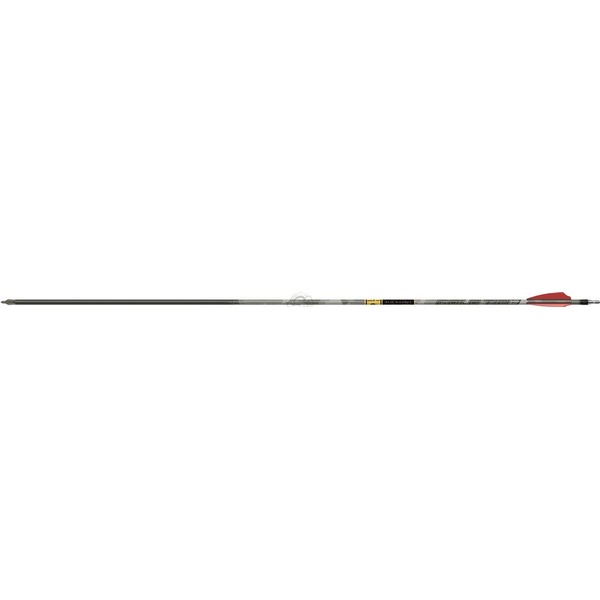 GOLDTIP Schaft Carbon Gold Tip Black Label ID6.2 12/PK