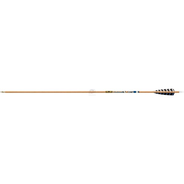 GOLDTIP Schaft Carbon Gold Tip traditionell XT ID6.2 12/PK