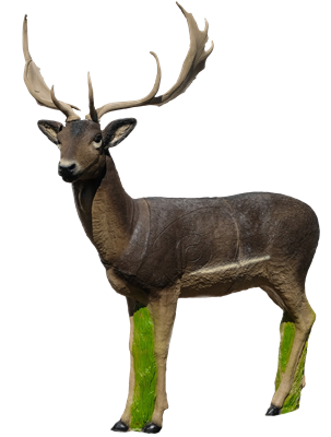 SRT TARGETS 3-D FALLOW DEER MELAS - GROUP 1 - L117cm Hcm