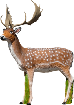 SRT TARGETS 3-D FALLOW DEER - GROUP 1 - L117cm Hcm