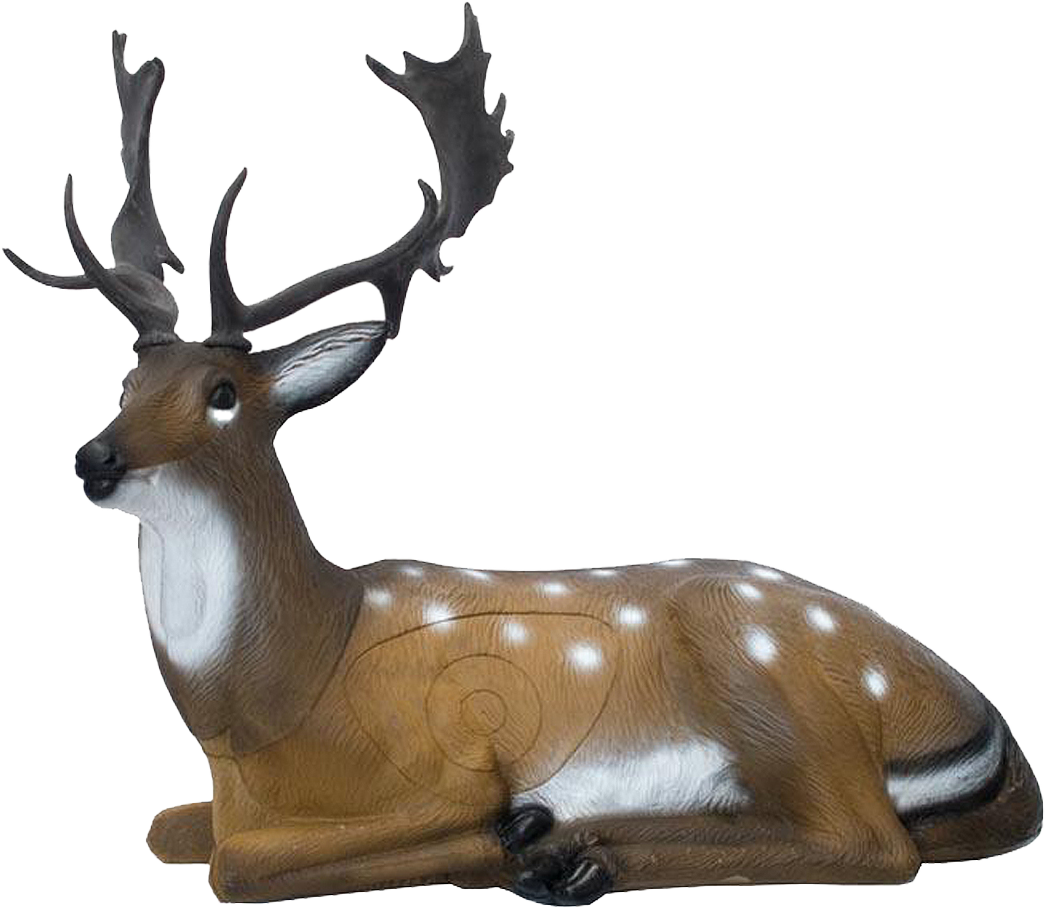 SRT TARGETS 3-D FALLOW DEER BEDDED - GROUP 2 - L110cm H62cm