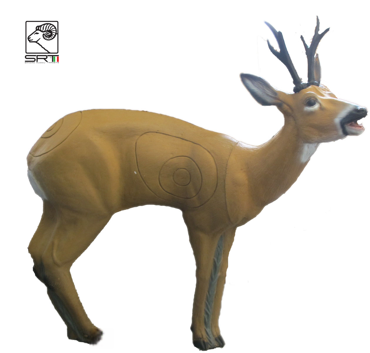 SRT 3D-ZIEL ROEBUCK - GROUP 2 - L96cm H89cm