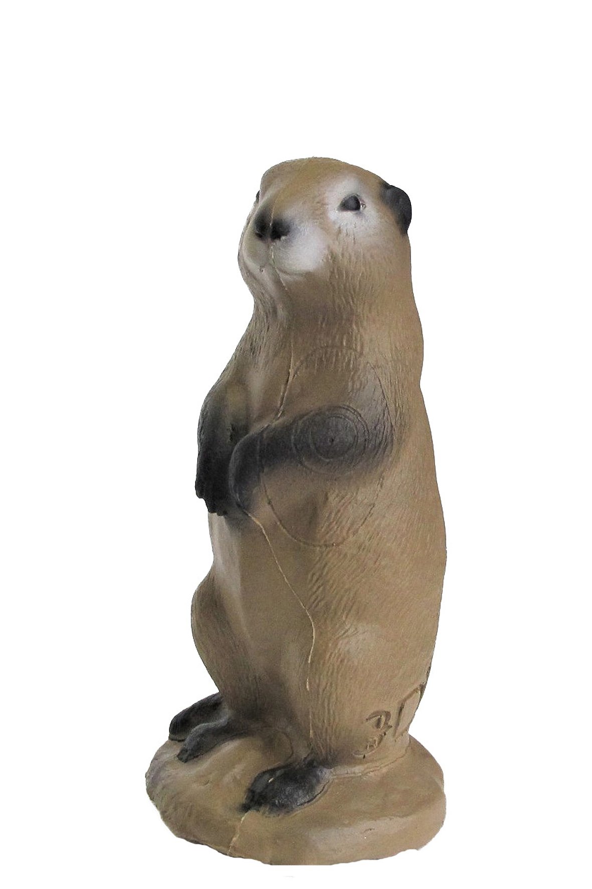 3D INTERNATIONAL 3D-ZIEL PRAIRIE DOG