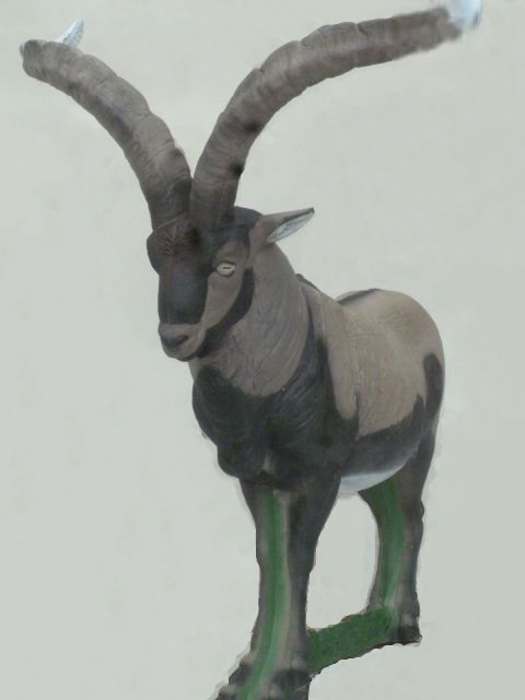 NATUR FOAM 3D-Ziel Machjo Montes - stehend