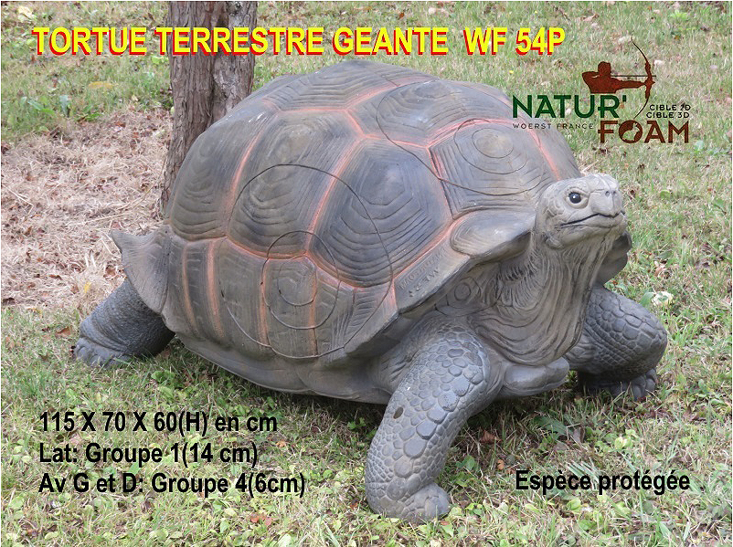 NATUR FOAM 3D TARGET GIANT TURTLE