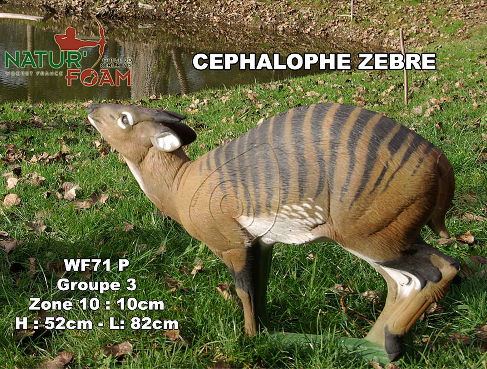 NATUR FOAM 3D-Ziel Cephalophus Zebra
