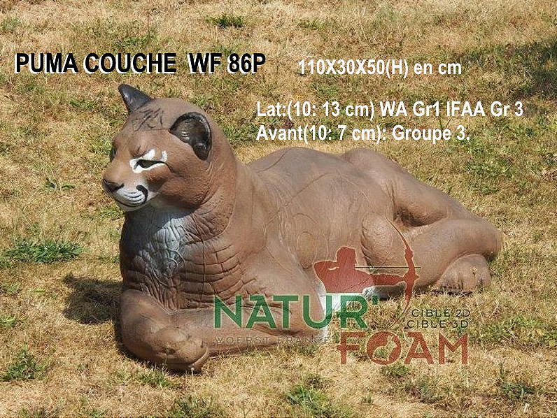 NATUR FOAM 3D-ZIEL PUMA - LIEGEND