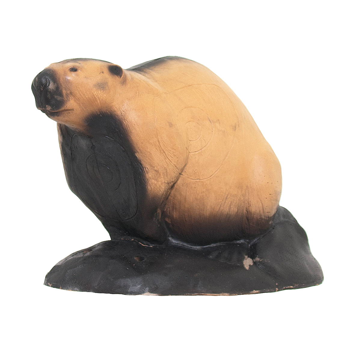 WILD LIFE 3D-ZIEL BIBER/CASTORO - DIM:44x63x39CM GROUP 3