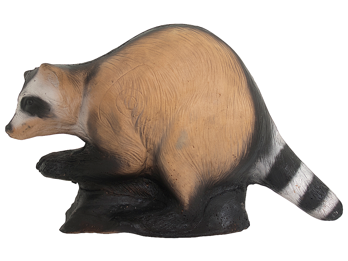 WILD LIFE 3D TARGET RACCOON / PROCIONE - DIM:42x58x30CM GROUP 4