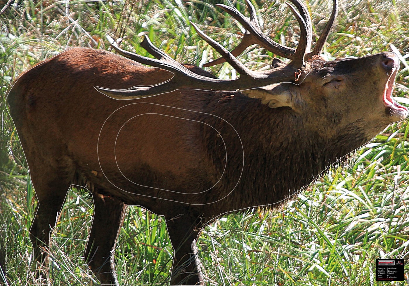 MAXIMAL ZIELSCHEIBEN BIG GAME 70x100 HEULENDES RIND