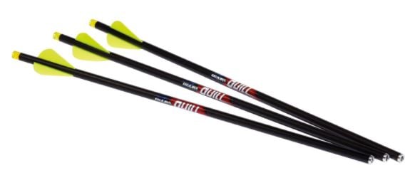 EXCALIBUR ARMBRUST-BOLZEN CARBON QUILL 16.5" LEUCHTEND FÜR MICRO 3/PACK