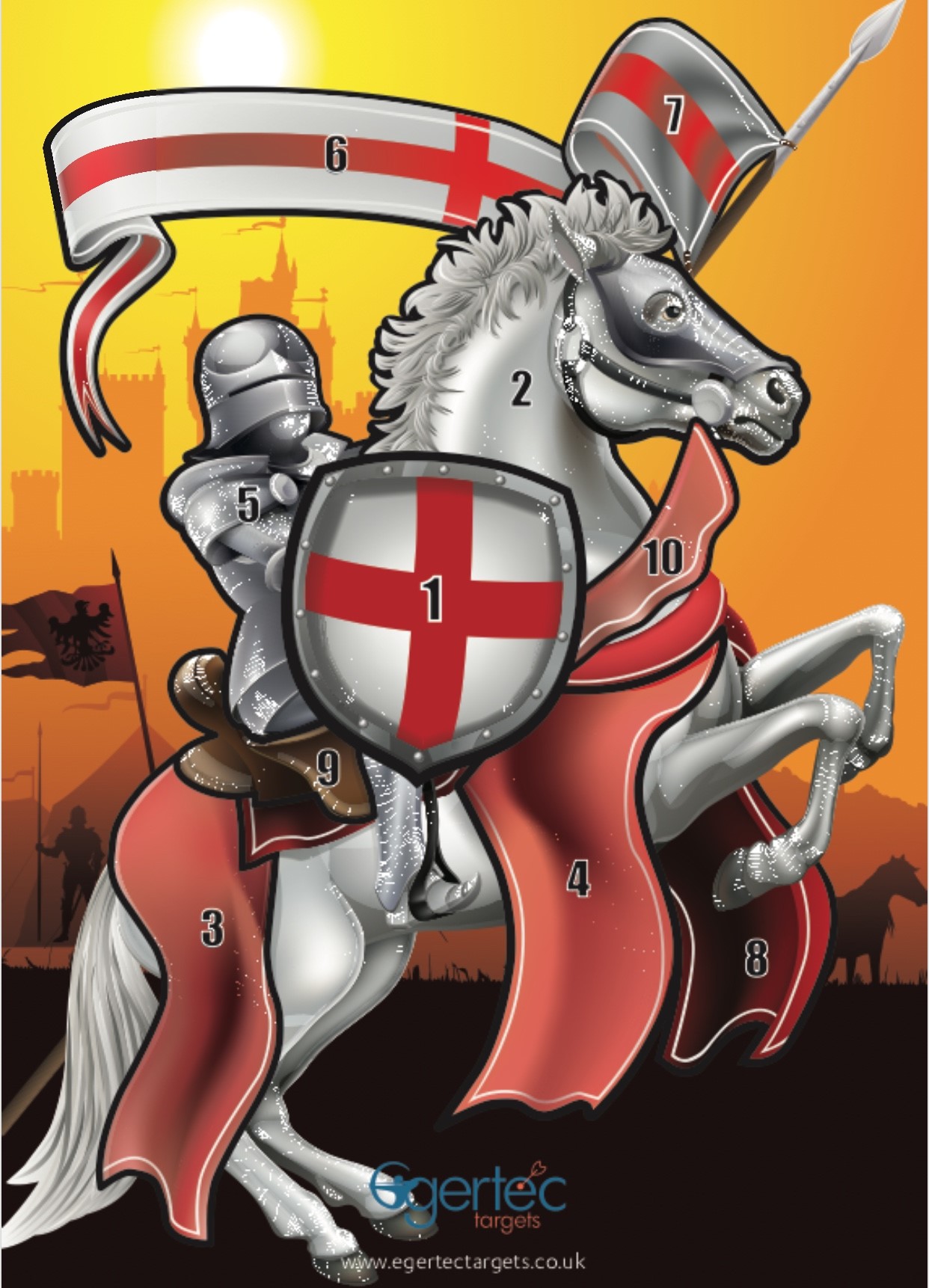 EGERTEC COMPLETE SET OF 10 FACES with 50 TARGET PINS