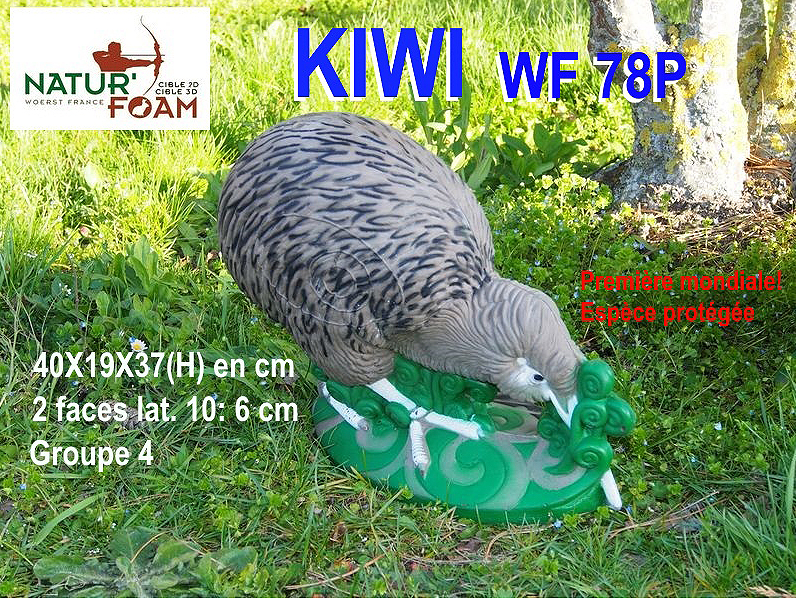 NATUR FOAM 3D-Ziel Kiwi