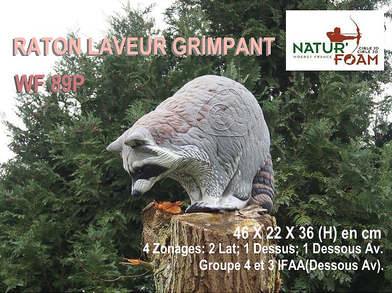 NATUR FOAM 3D-ZIEL KLETTERNER WASCHBÄR