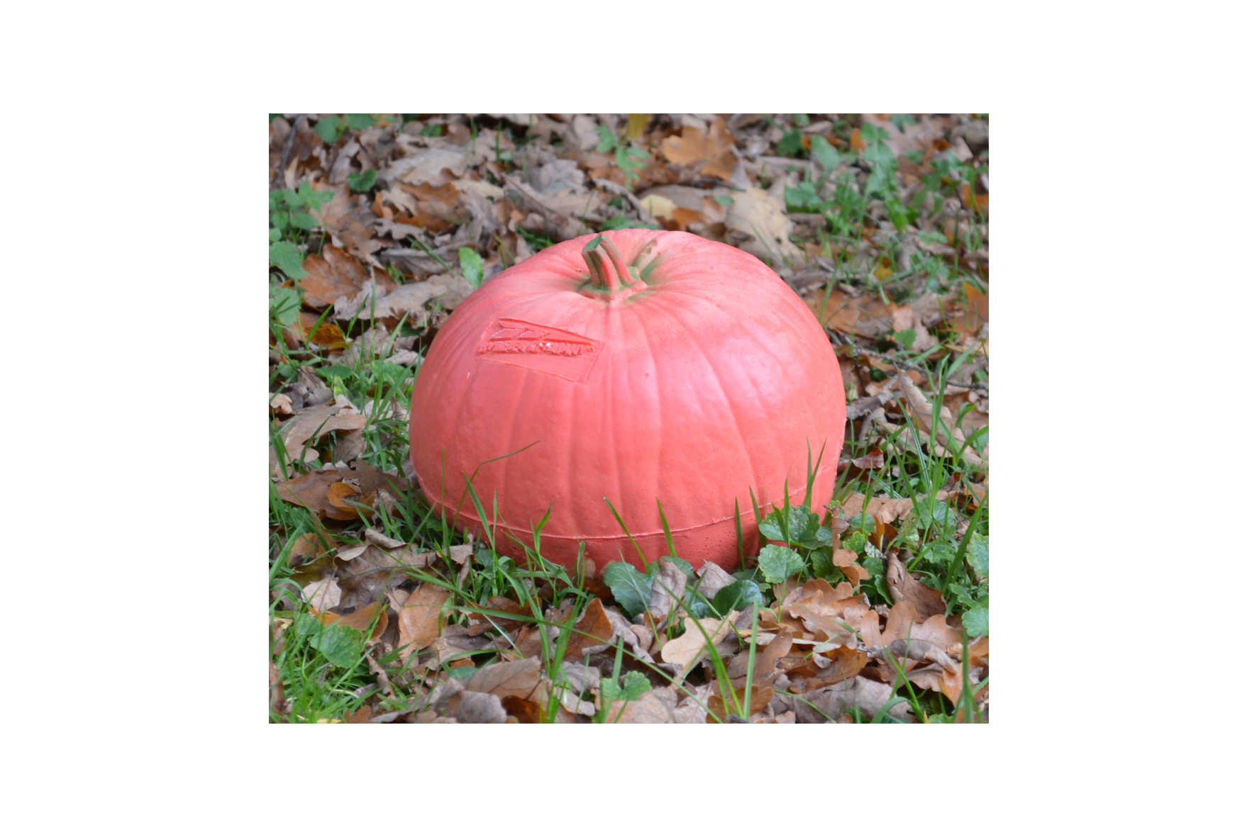 BEIER 3D TARGET PUMPKIN : L23 x W23 x H19cm