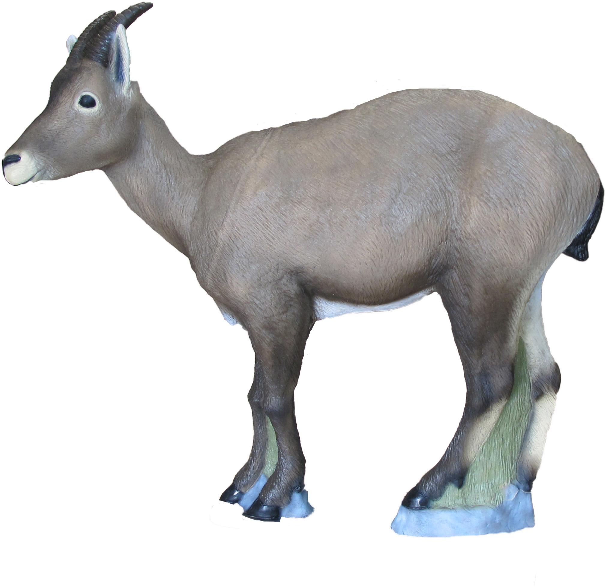 SRT TARGETS 3D ROCKY MOUNTAIN SHEEP FEMALE - GROUP 1 - L97cm H90cm