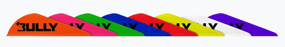 EASTON BULLY VANES 2" 100/PK