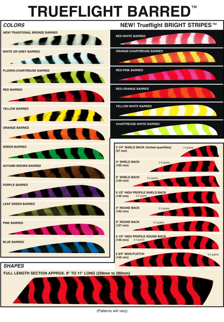 GATEWAY FEATHERS 1000/PK