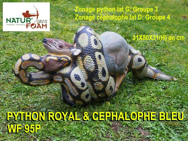 NATUR FOAM 3D TARGET ROYAL PYTHON & BLUE CEPHALOPHUS