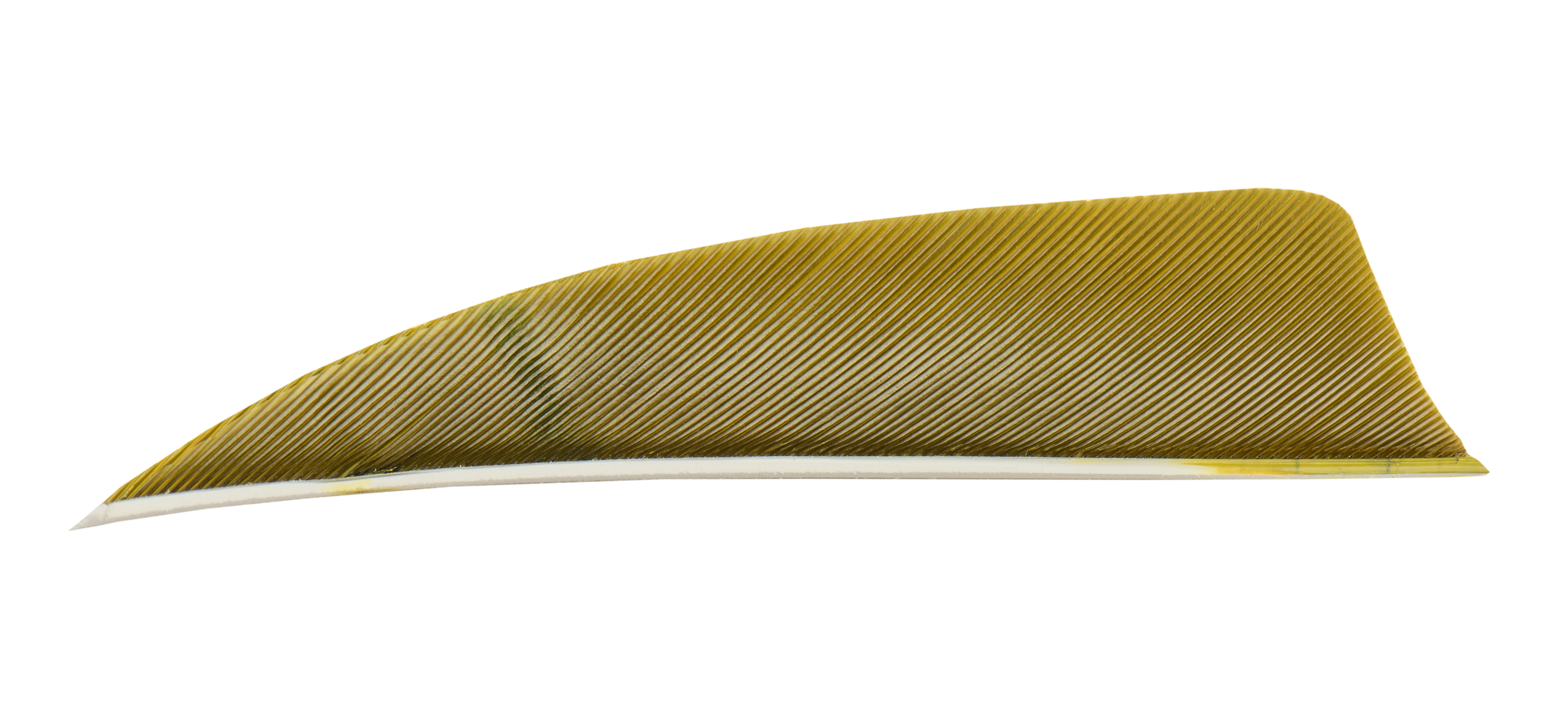 TRUEFLIGHT FEATHERS SHIELD 3" LW 100/PK