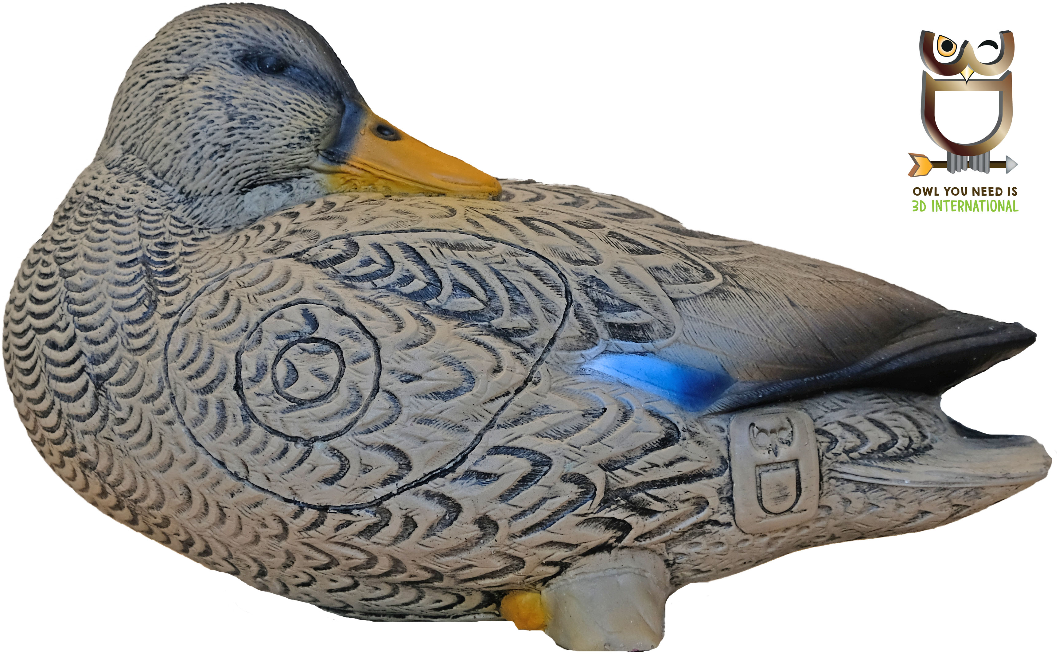3D INTERNATIONAL 3D-ZIEL ENTE