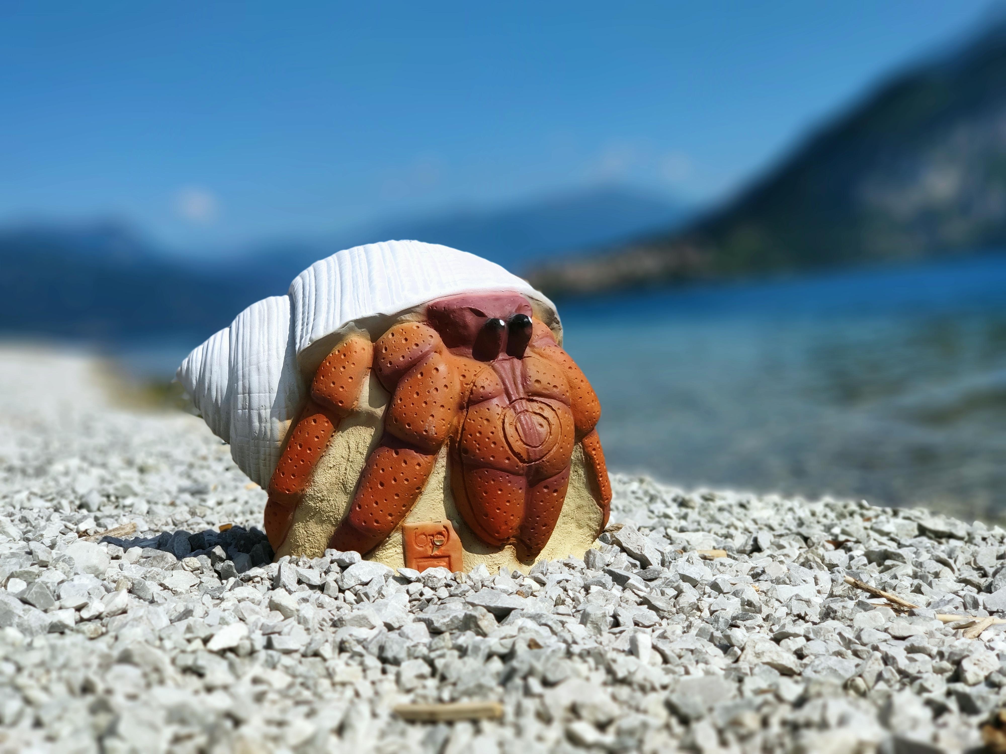 3D INTERNATIONAL 3D HERMIT CRAB