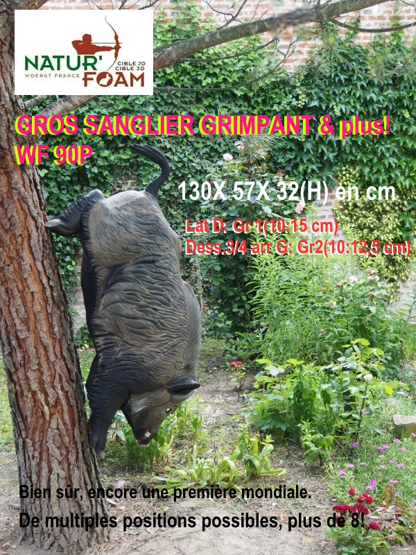 NATUR FOAM 3D-ZIEL WILDSCHWEIN - KLETTERER
