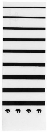 BEARPAW ARROW WRAP CLEAR