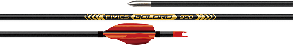 FIVICS SCHAEFTE CARBON GOLDRO 12/PK