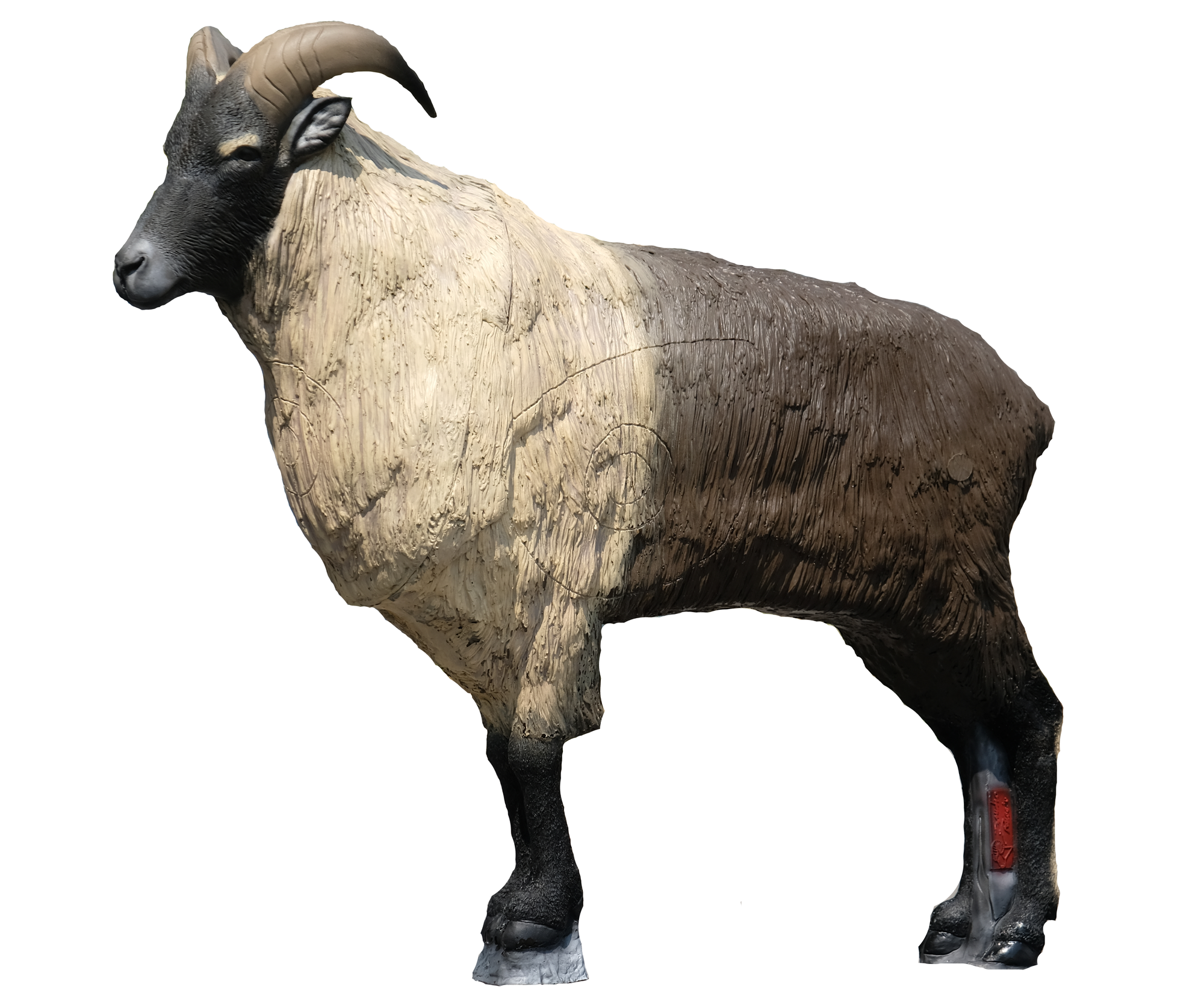 SRT 3D-ZIEL HIMALAYAN TAHR - GROUP 1 - L133cm H113cm