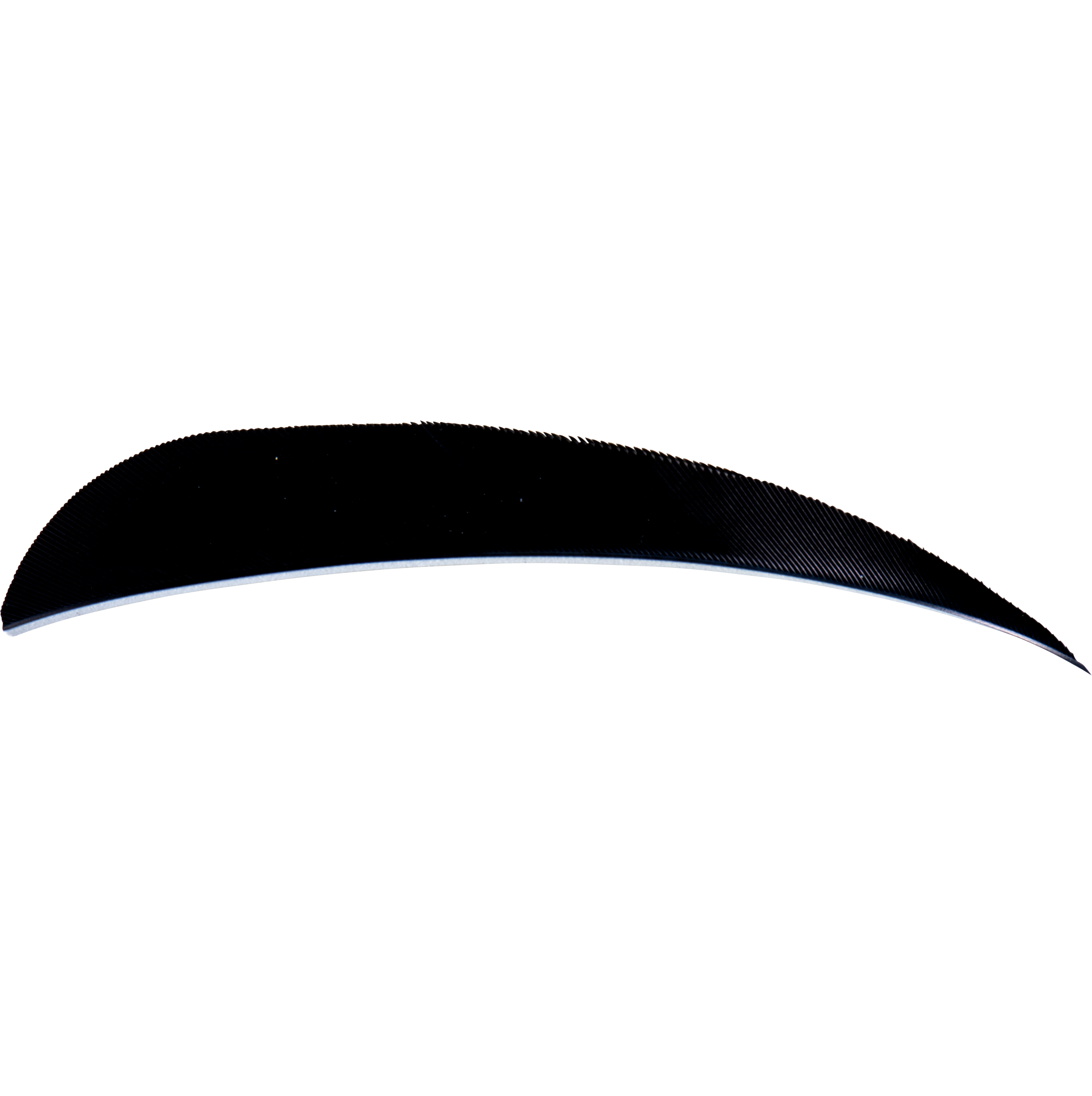 AVALON FEDERN ROUND 3" RW 50/PK