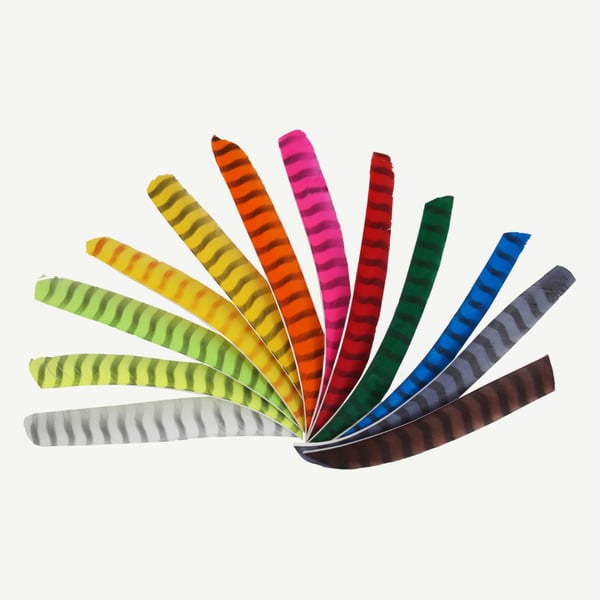 BEARPAW Vollfeder Volllänge, LW, Barred 50/PK